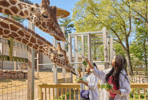 elmwood park zoo